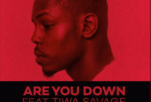 Ladipoe ft. Tiwa Savage – Are You Down