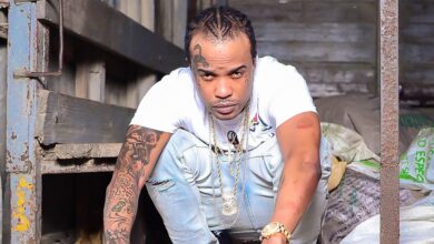 Tommy Lee Sparta - Pretty Little Freak