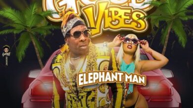 Elephant Man – Good Vibes