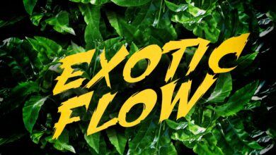 Omar Sterling – Exotic Flow