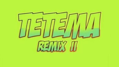 Rayvanny Ft Patoranking x Zlatan x Diamond Platnumz – Tetema (Remix) II