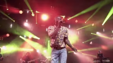 Stonebwoy At Hill Vibes Reggae Festival 2019 In Austria (Full Performance)