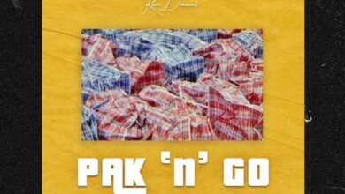 Kizz Daniel – Pak n Go (Snippet)