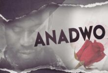 Bisa Kdei – Anadwo (Prod. By Apya)