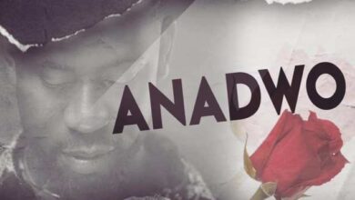 Bisa Kdei – Anadwo (Prod. By Apya)