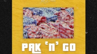 Kizz Daniel – Pak N Go