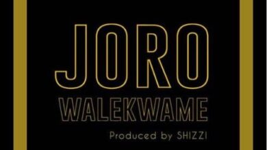 Wale Kwame – Joro (Prod By Shizzi)