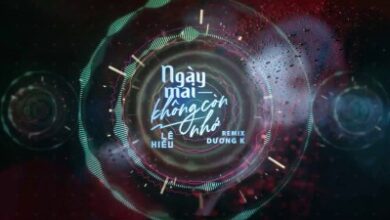 Lê Hiếu – Ngày Mai Không Còn Nhớ (Dương K Remix) Lyrics