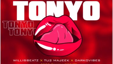 WillisBeatz Ft TU2 x Darkovibes - Tonyo