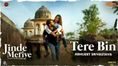 PARMISH VERMA - TERE BIN LYRICS