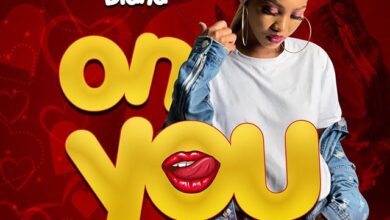 Spice Diana - On You Lyrics