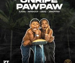 Zlatan - Unripe Pawpaw Ft PapiSnoop x Oberz x JamoPyper