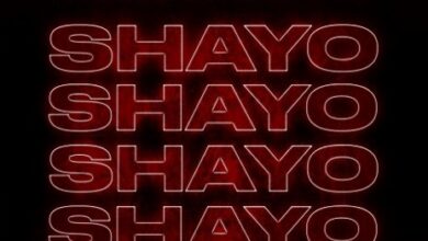 Ceeza Milli Ft Wizkid – Shayo