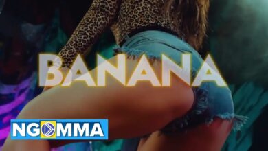 WILLY PAUL - BANANA Lyrics