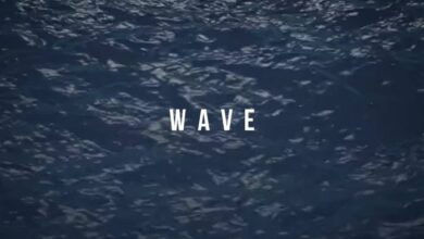 Ric Hassani – Wave