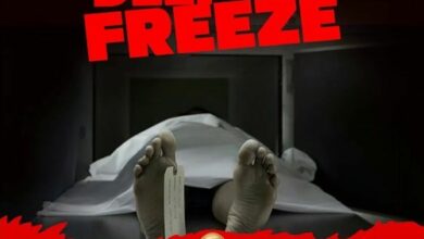 Shane O – Deep Freeze