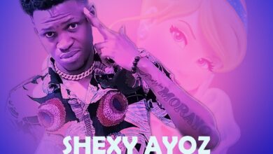 Shexy Ayoz - Cinderella (Prod. By WillisBeatz)