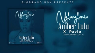 Amber lulu Ft Pavlo – Ng’ang’ania