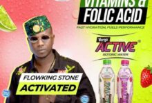 Flowking Stone – Verna Active