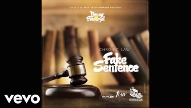 Chronic Law – Fake Sentence