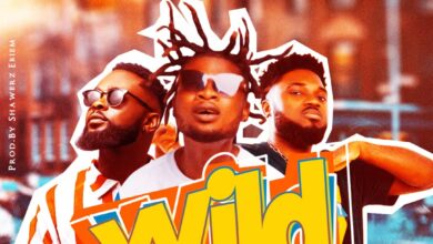 Tray Zee Ft Piesie Super x Donzy - Wild (Prod By Shawerz Ebiem)