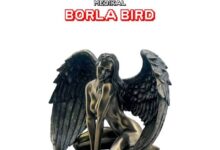 Medikal – Borla Bird