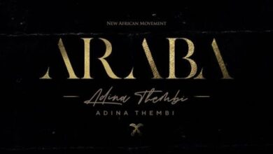 Adina Thembi – Why