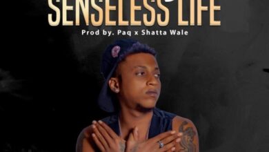 Ara-B – Senseless Life