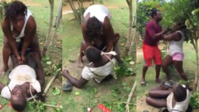 Slay Mama Lovely assault And Tries To Ra@p£ A Man In Public (Video Here)