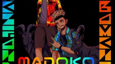 Stilo Magolide – Madoko Ft Kwesta