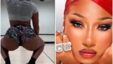 Have You Seen The Latest Tw3rking Video Of Megan Thee Stallion - Video Below