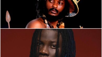 Iwan Warns Stonebwoy - Stop Liking Anything Of Mine On Instagram - Video