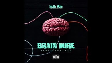 Shatta Wale – Brain Wire (Freestyle)