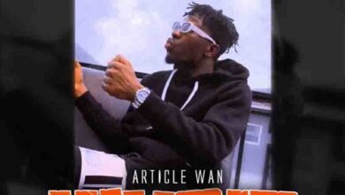 Article Wan – Wusie