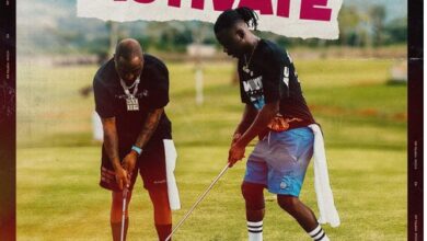 Stonebwoy – Activate Ft Davido (Prod By Masta Garzy)