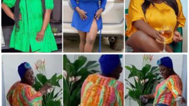 Tracey Boakye, East Legon Landlady Rains Tw3rking In Trending Video - Watch