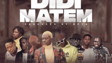 Lilwin – Didi Matem Ft All-Stars