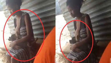 Lady Seen Breastfeeding A Dog, Netizens React - Video