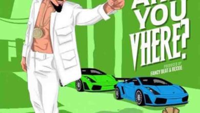 Skiibii – Are You Vhere (Prod By Rexxie)