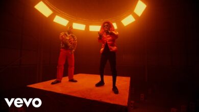 WizKid Ft Burna Boy - Ginger (Official Video)