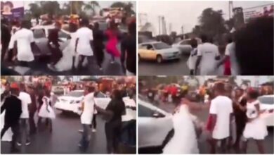 Bride Nearly Wrestle With Chief bridesmaid After Finds Out Groom Had been cheating With Her - Video