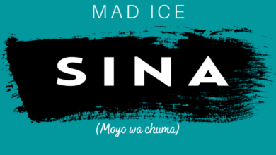 Mad Ice – Sina (moyo wa chuma)