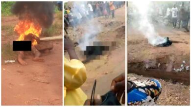 Guy Burnt 2 Death 4 Allegedly Stealing N2000 In Benue - Watch