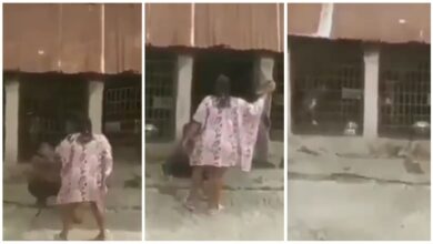 Wicked Lady Seen Flogging Stepson With Belt N Locking Him With Dogs - Video