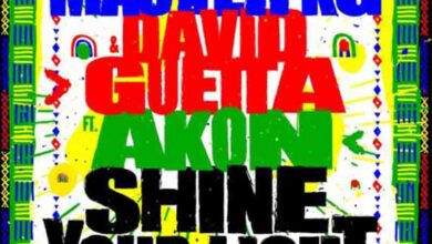 Master KG - Shine Your Light Ft David Guetta x Akon