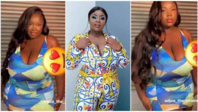 Actress Maame Serwaa Seduces Men With Her Big Natural Melons - Video