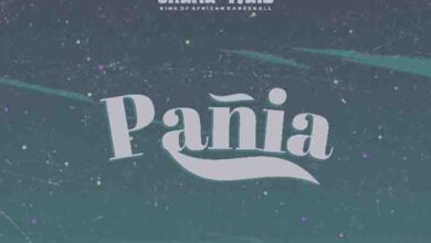 Shatta Wale – Panai