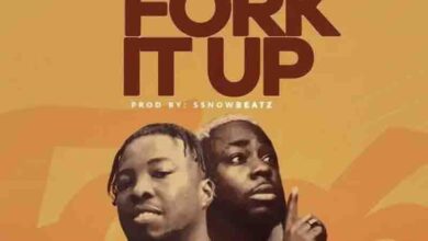 Ssnowbeatz - Fork It Up Ft TeePhlow