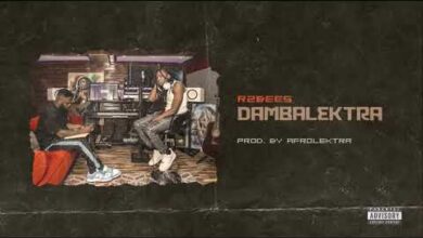 R2bees – Dambalektra