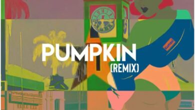 Mike Akox ft Kwaku DMC - Pumpkin Remix